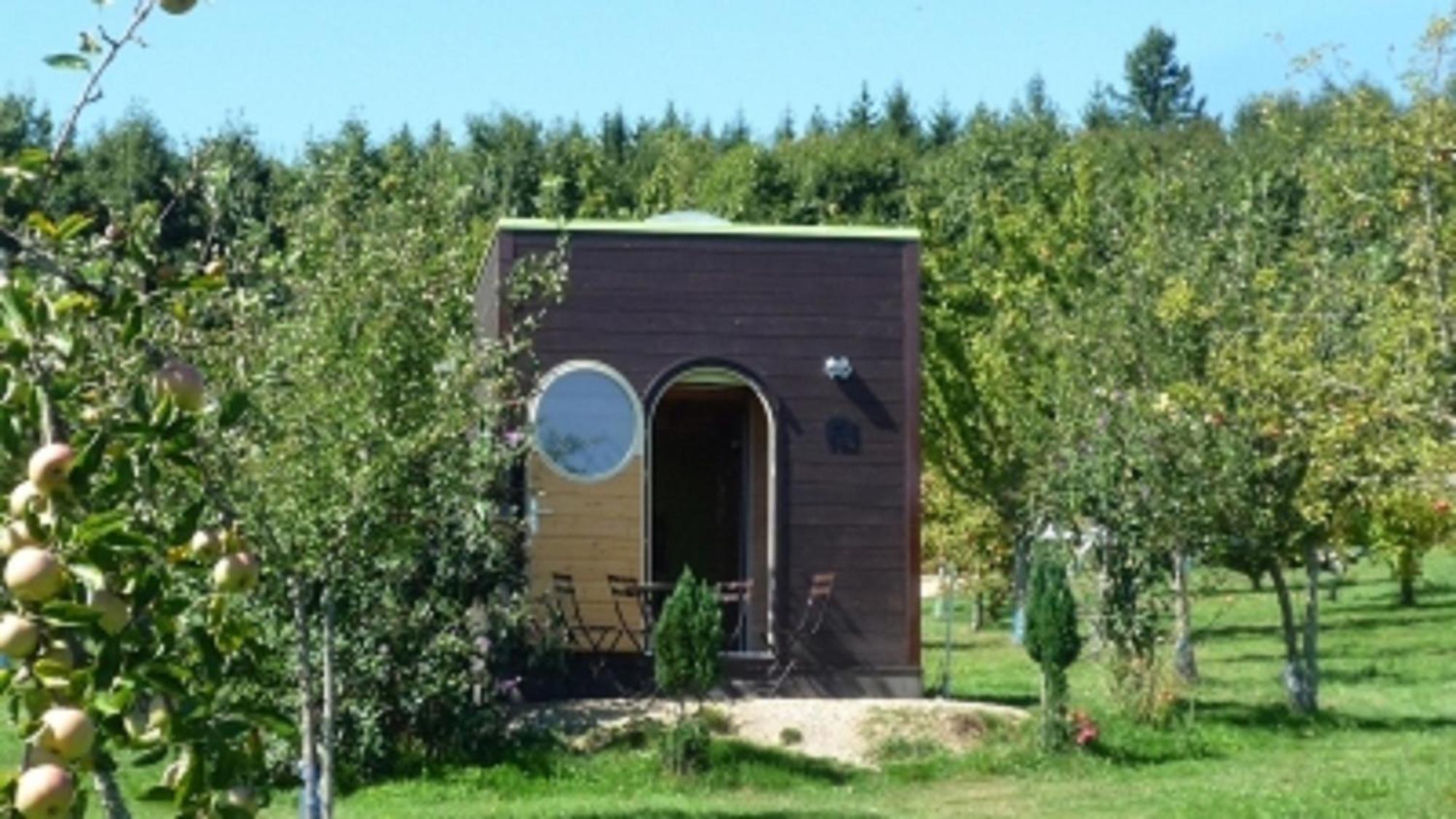 Le Domaine Des Tuileries Guest House Salins Bagian luar foto